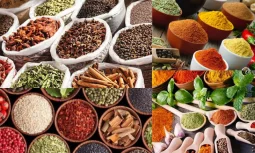 Turkish Seasoning Çeşitleri Nelerdir?