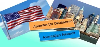 Amerika Dil Okullarının Avantajları Nelerdir?