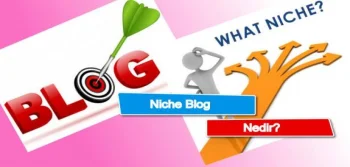 Niche Blog Nedir?